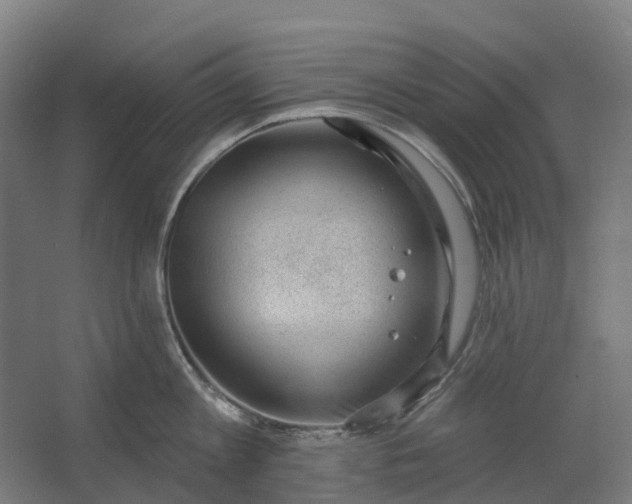 X0000062610813200601040937