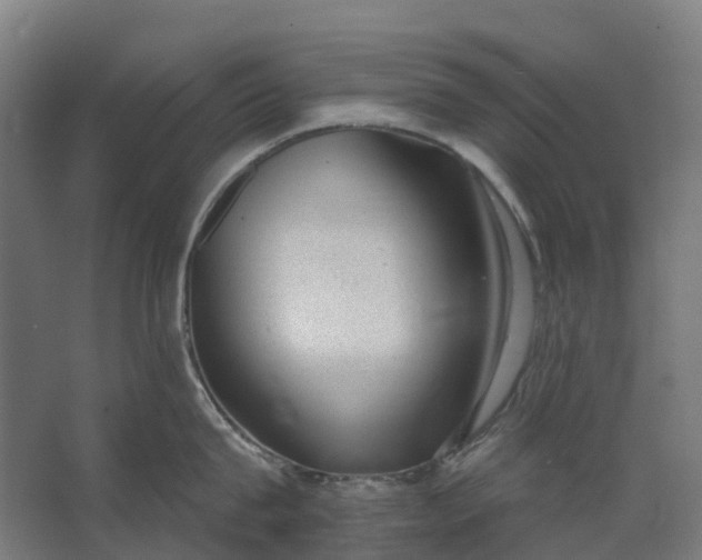 X0000062610815200601040937