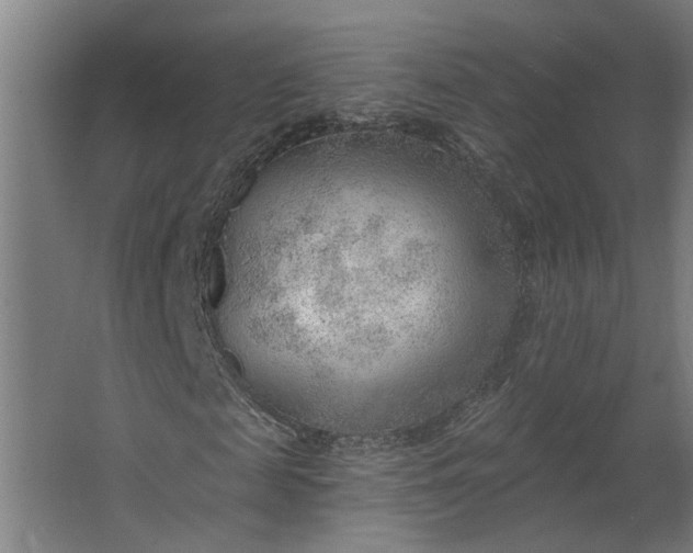 X0000062610817200601040937