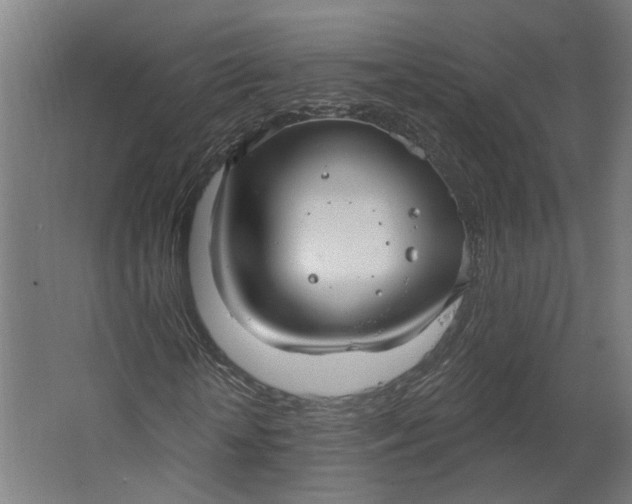 X0000062610818200601040937