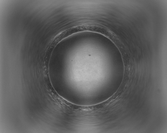 X0000062610822200601040937