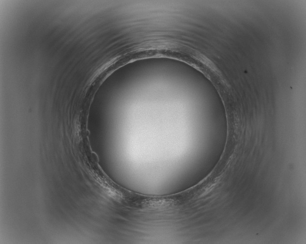 X0000062610826200601040937