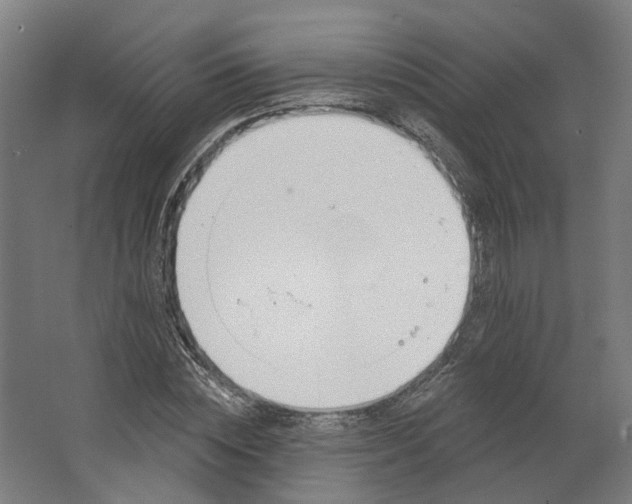 X0000062610828200601040937