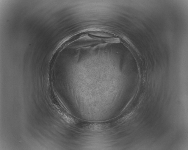 X0000062610829200601040937