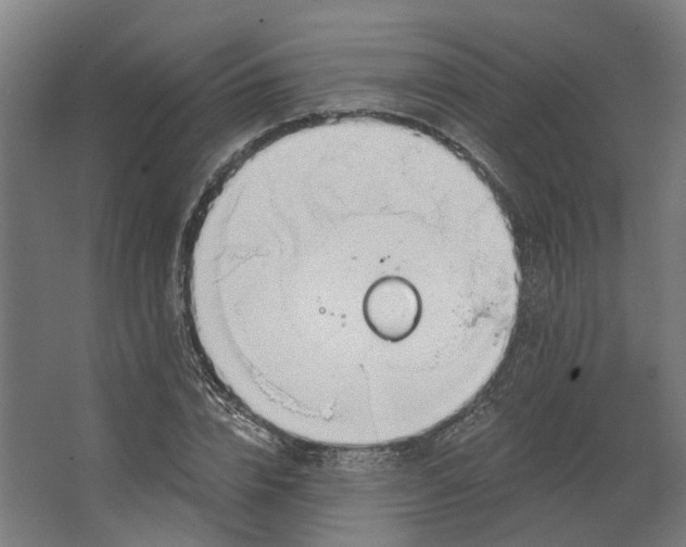 X0000062610832200601040937