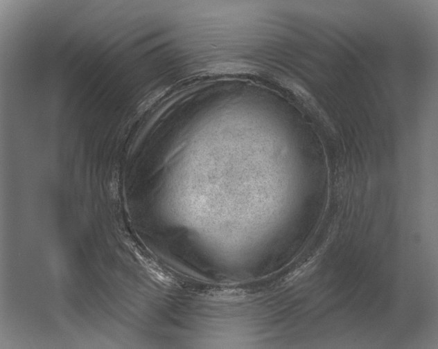 X0000062610833200601040937