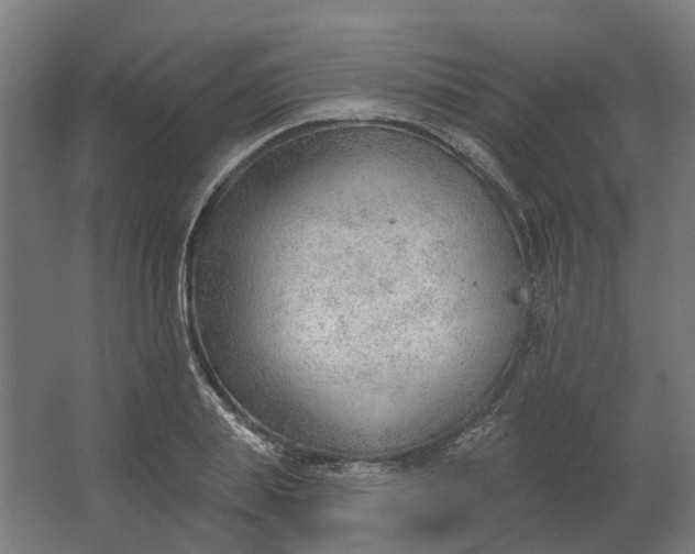 X0000062610839200601040937