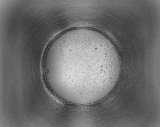 X0000062610840200601040937