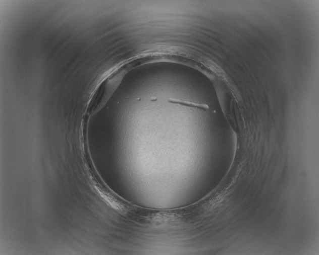 X0000062610842200601040937