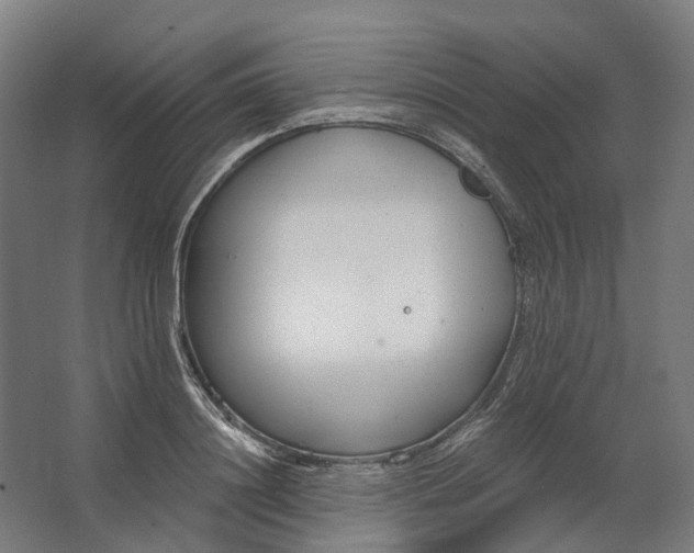 X0000062610844200601040937