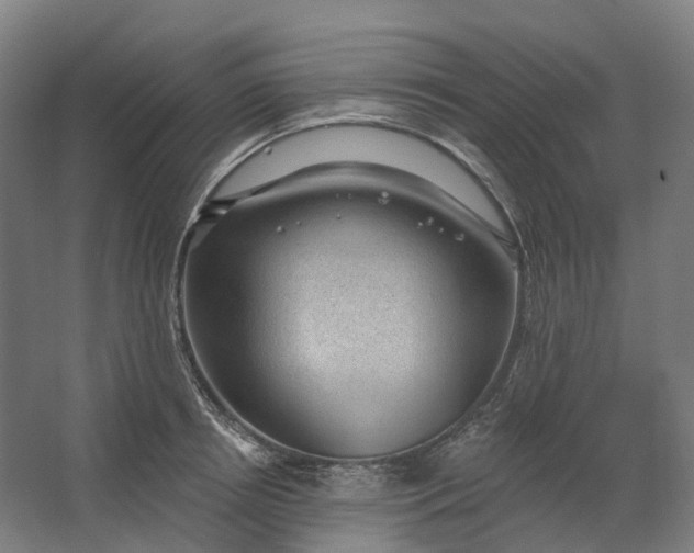 X0000062610850200601040937