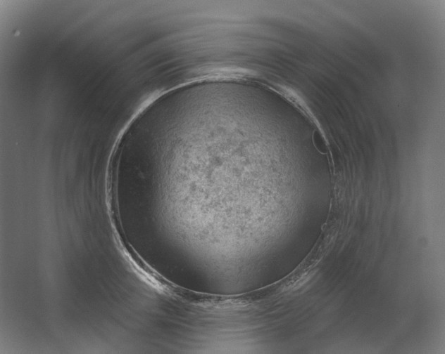 X0000062610851200601040937