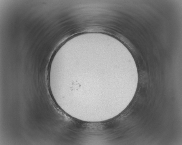 X0000062610856200601040937