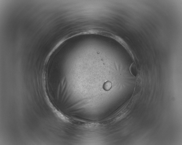 X0000062610859200601040937