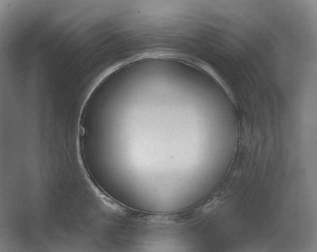 X0000062610861200601040937