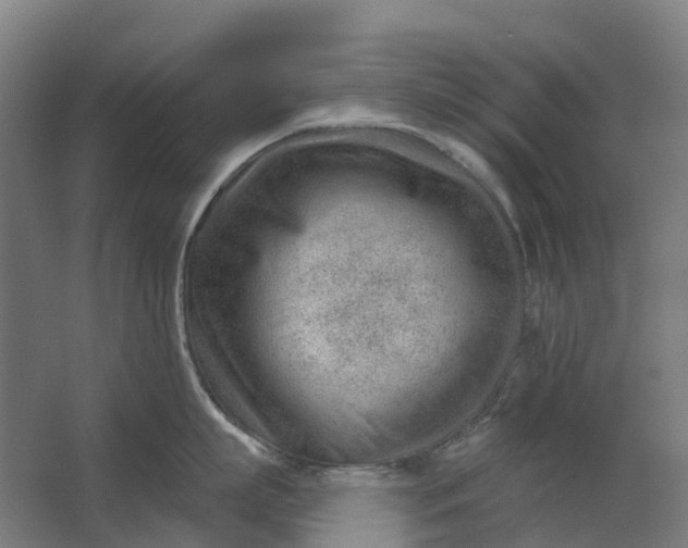 X0000062610863200601040937