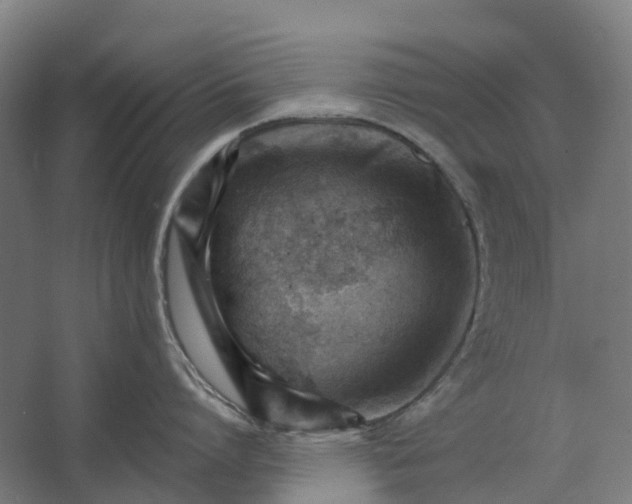 X0000062610864200601040937