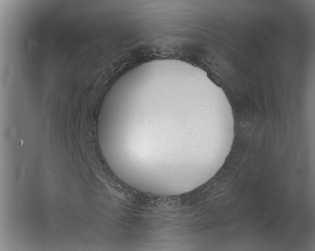 X0000062610865200601040937