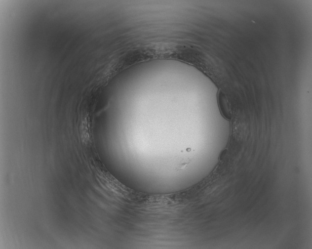 X0000062610866200601040937