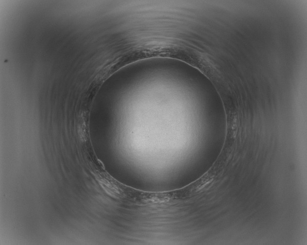 X0000062610868200601040937