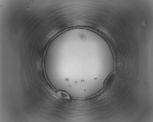 X0000062610873200601040936