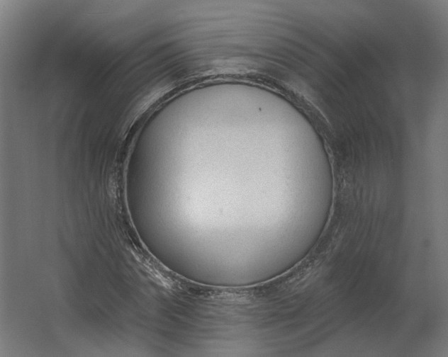 X0000062610874200601040936