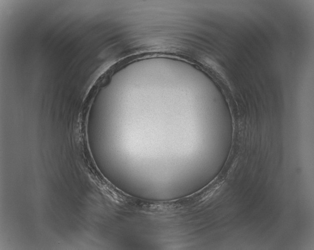 X0000062610875200601040936