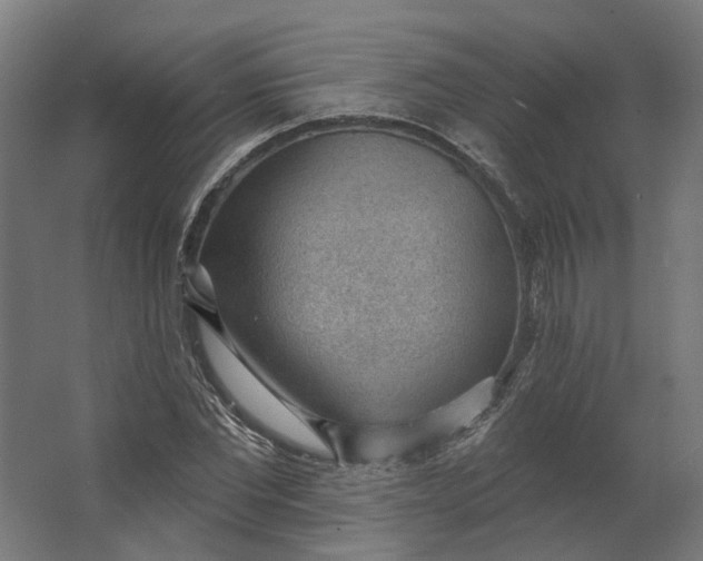 X0000062610877200601040936