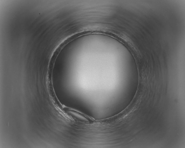 X0000062610880200601040936