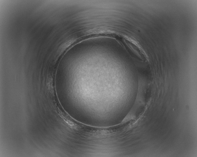 X0000062610881200601040936