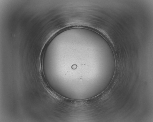 X0000062610887200601040936