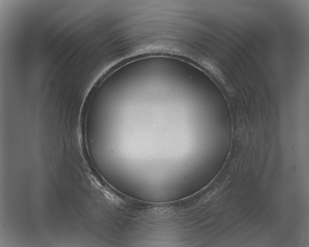 X0000062610888200601040936