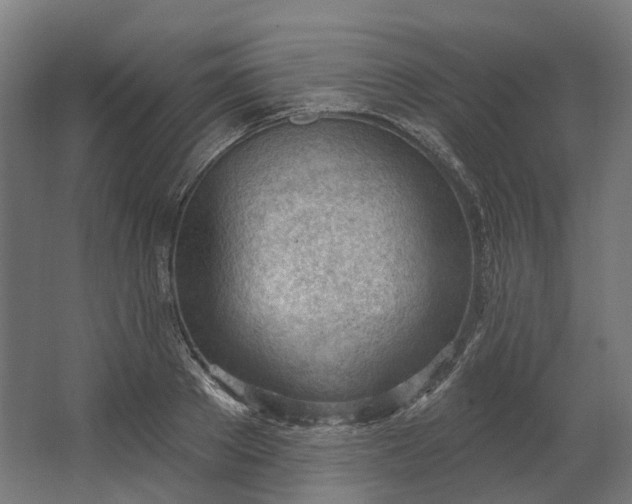 X0000062610889200601040936