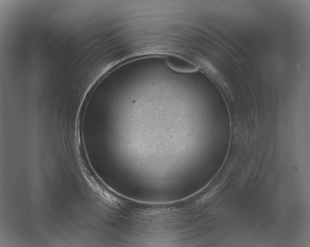 X0000062610892200601040936