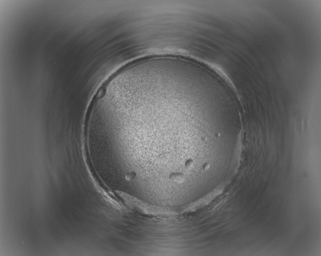 X0000062610895200601040936