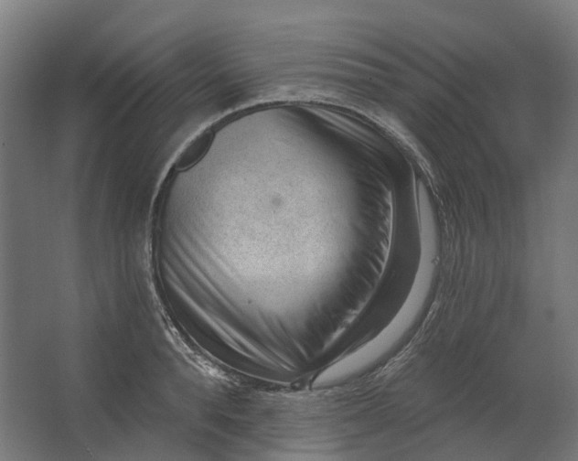 X0000062610896200601040936