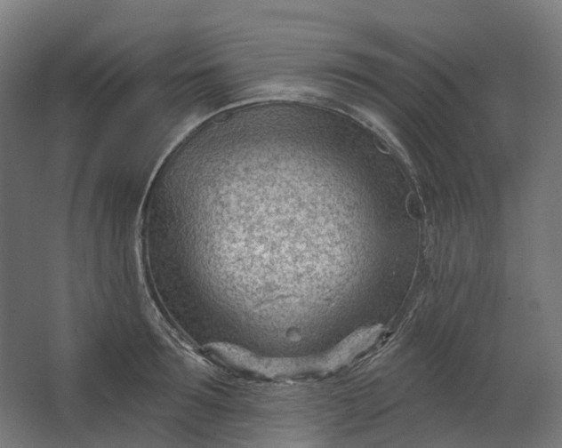 X0000062610899200601040936