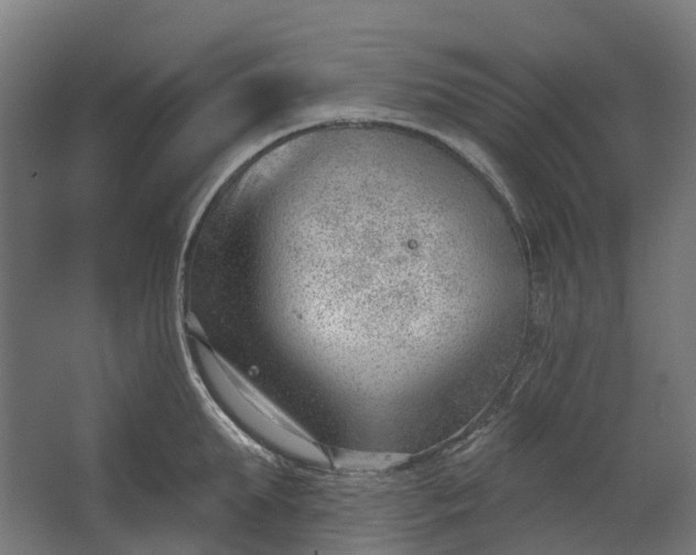 X0000062610903200601040936