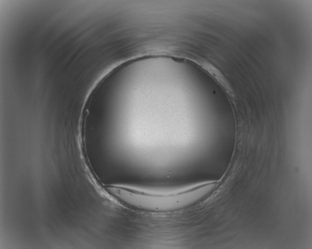 X0000062610904200601040936