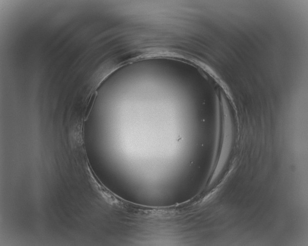 X0000062610905200601040936