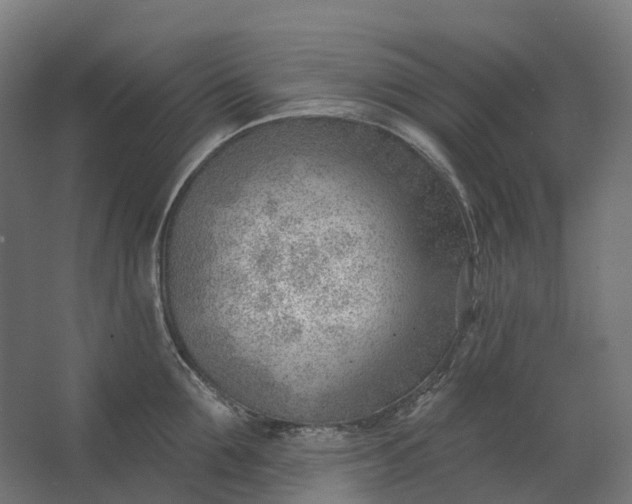 X0000062610907200601040936