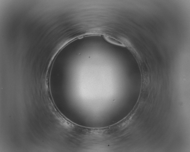 X0000062610908200601040936