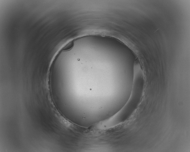 X0000062610912200601040936