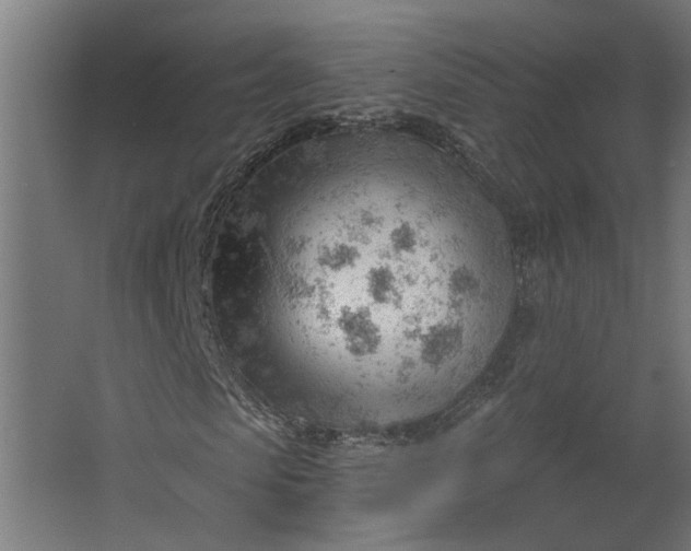 X0000062610913200601040935