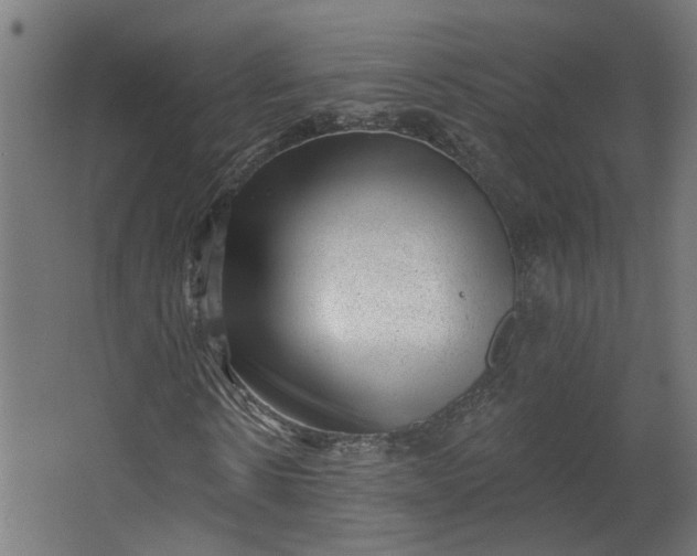 X0000062610914200601040935