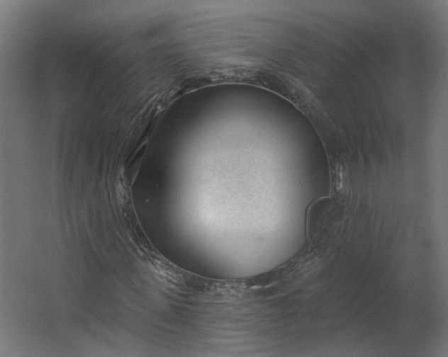 X0000062610915200601040935