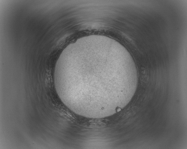 X0000062610918200601040935