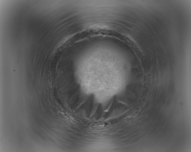 X0000062610919200601040935