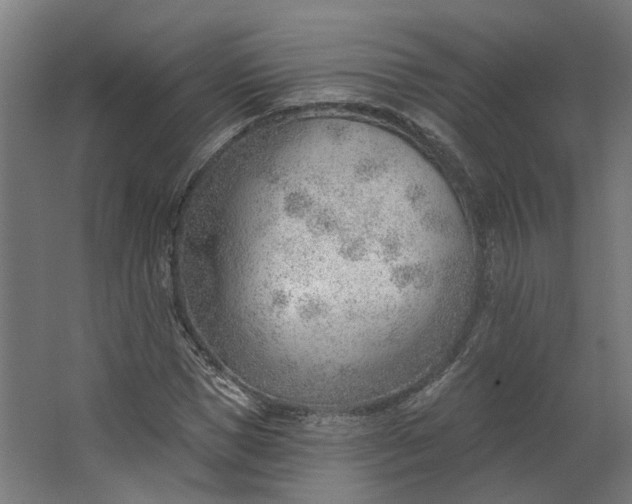 X0000062610921200601040935