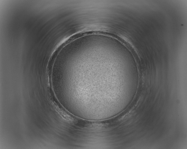 X0000062610925200601040935